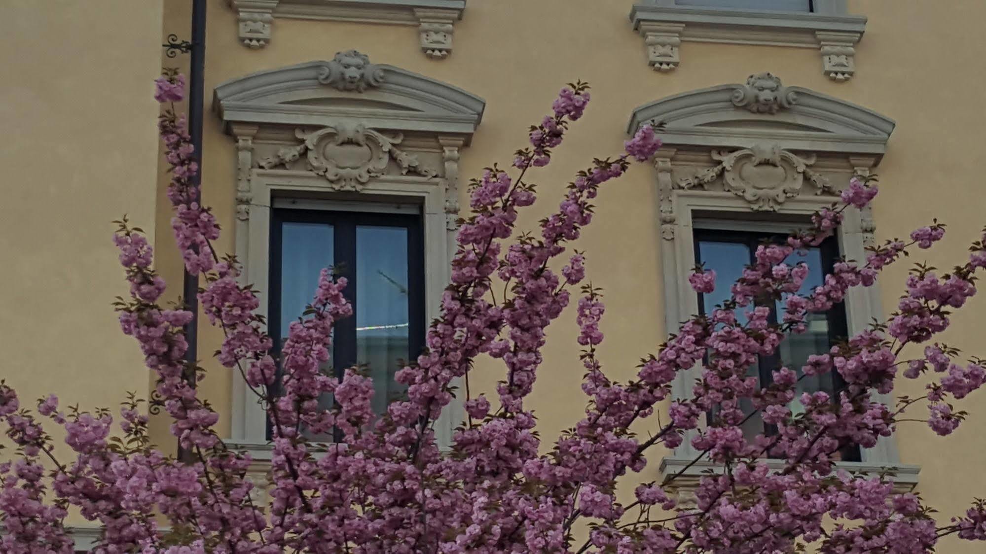 La Nuova Rotaia 3*