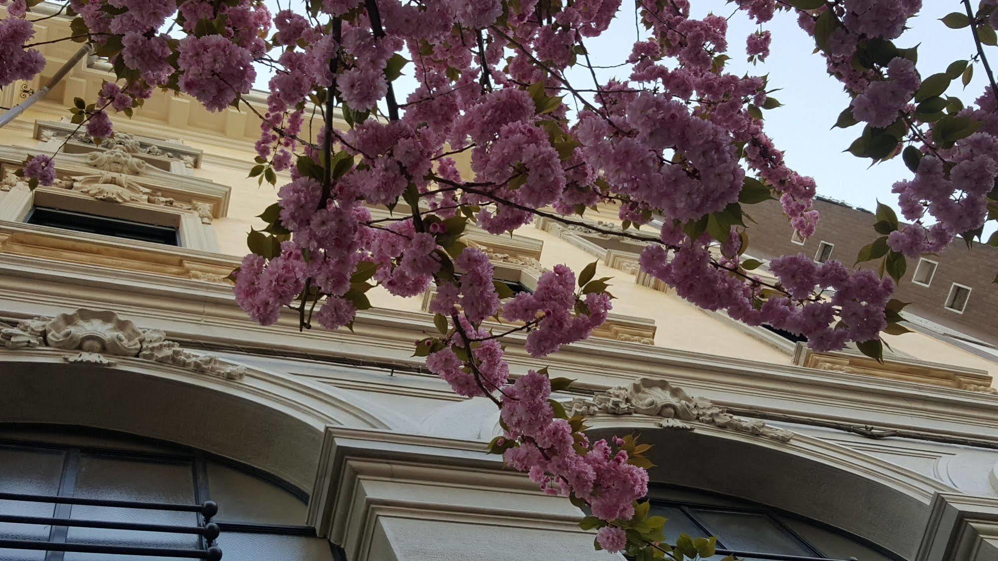 La Nuova Rotaia Hotel 3*